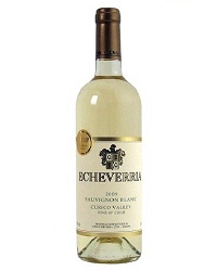      <br>Wine Echeverria Sauvignon Blanc